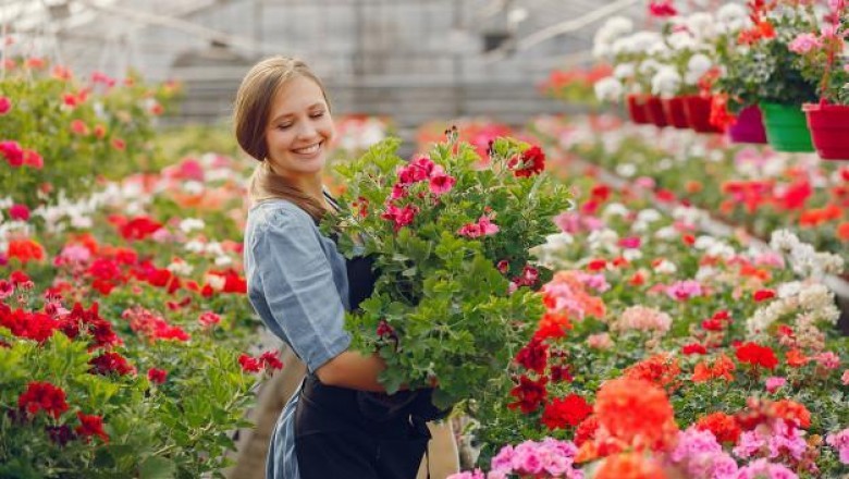 Floriculture; a Branch of Horticulture Associated With the Cultivation of Flowering