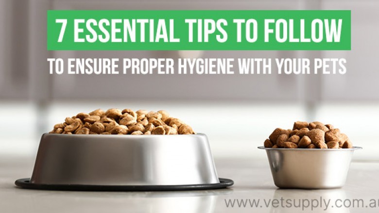 7 Essential Tips To Follow To Ensure Proper Hygiene With Your Pets