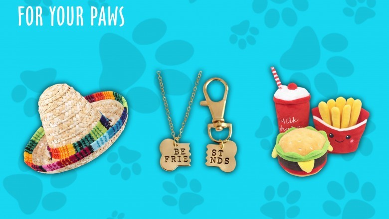 How Much You Need To Expect You'll Pay For A Good dog toys