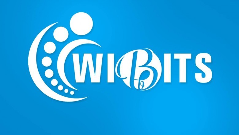 Wibits Web Solutions LLP