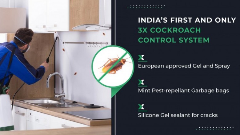 Cockroach Control: Book Cockroach Control Service At Best Price | HiCare