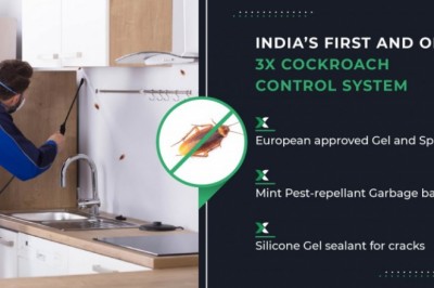 Cockroach Control: Book Cockroach Control Service At Best Price | HiCare