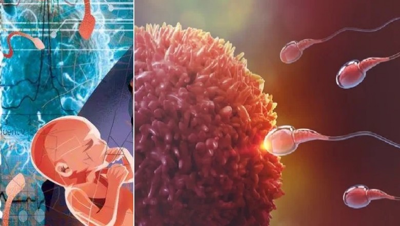 What are the Reasons for Male Infertility?