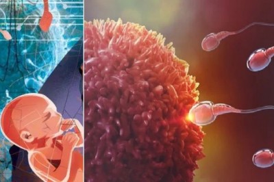 What are the Reasons for Male Infertility?