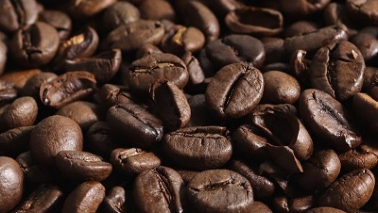 Finding the best coffee grinder for the money