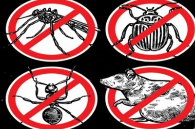 Pest Control Services in Thane – Sadguru Pest Control