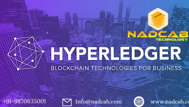Hyperledger Blockchain Development Services
