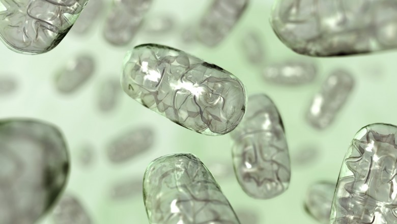 Mitochondrial Disorders Treatment; Depends On the Severity of the Disease and Varies From Patient to Patient