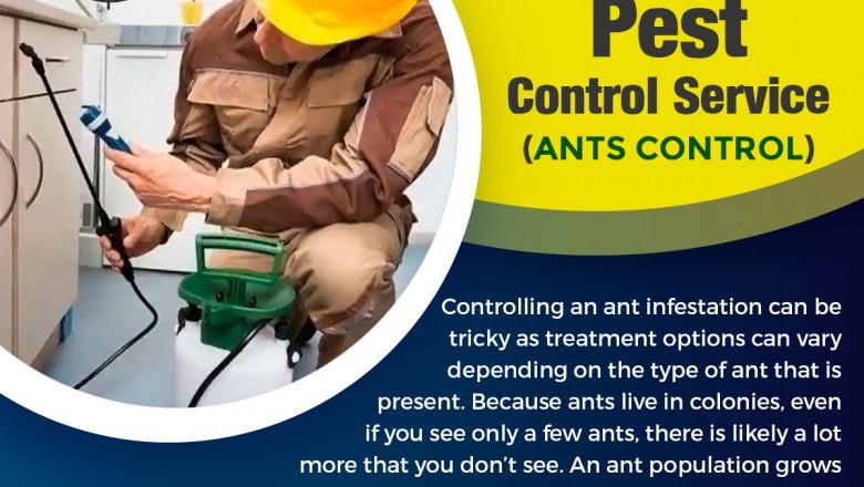 Pest control services in Chennai @+91 72 00 55 66 22