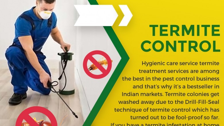 Termite control services in Chennai @+91 72 00 55 66 22