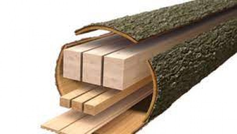 Cross Laminated Timber Market Share and Growth Factors Impact Analysis 2021-2030