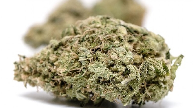 WHY You have to Put A COIN Within your GRINDER