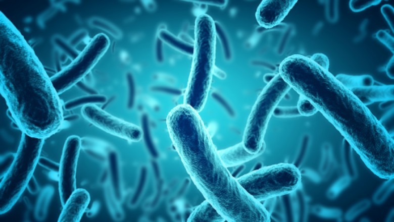 Antimicrobial additives enhance the performance of a surface by imbuing it with lasting antibacterial, anti-fungal and antiviral properties.
