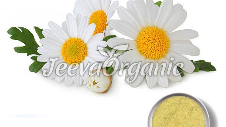 Organic Chamomile Powder Supplier |