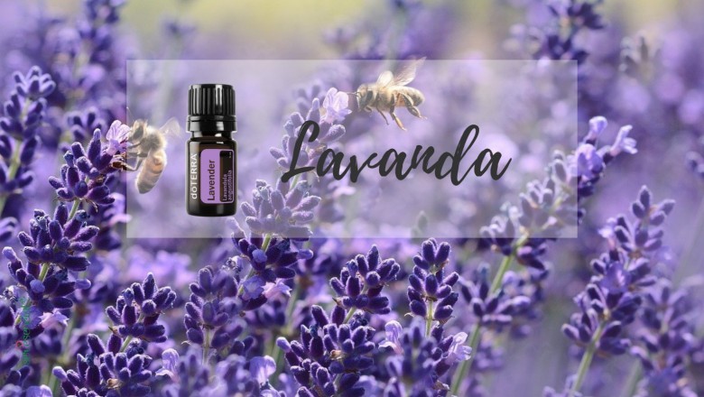 Ser Esencial México