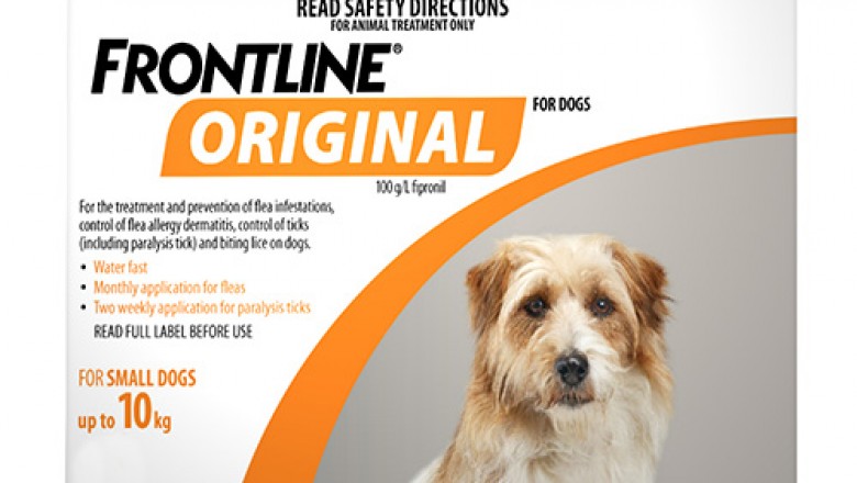 Buy Frontline For Small Dogs Orange Pack | Flea & Tick Control | DiscountPetCare