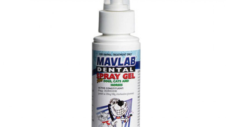 Buy Mavlab | Online at Lowest Price | Free Shipping - DiscountPetCare