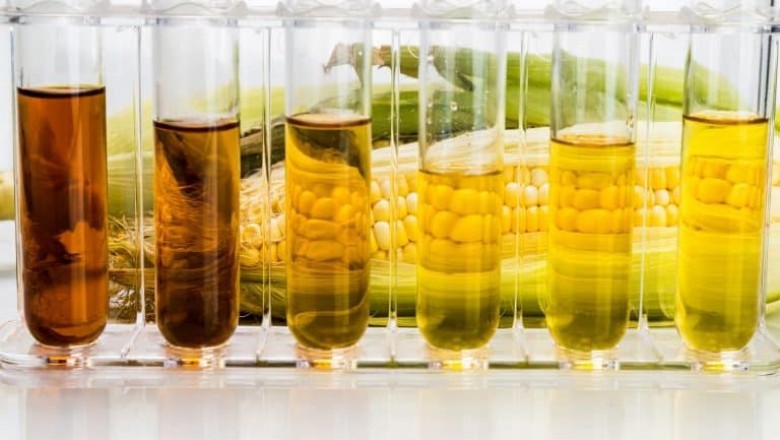 Increasing demand for renewable energy sources, concerns about greenhouse gas emissions, and the need to reduce carbon dioxide emissions all contribute to increased demand for bioethanol.