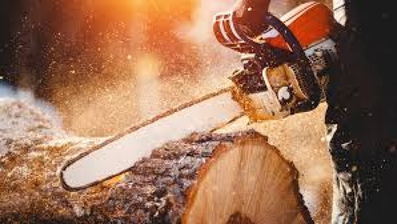 Tree Removal Covington - Acadian Tree and Stump Removal Service