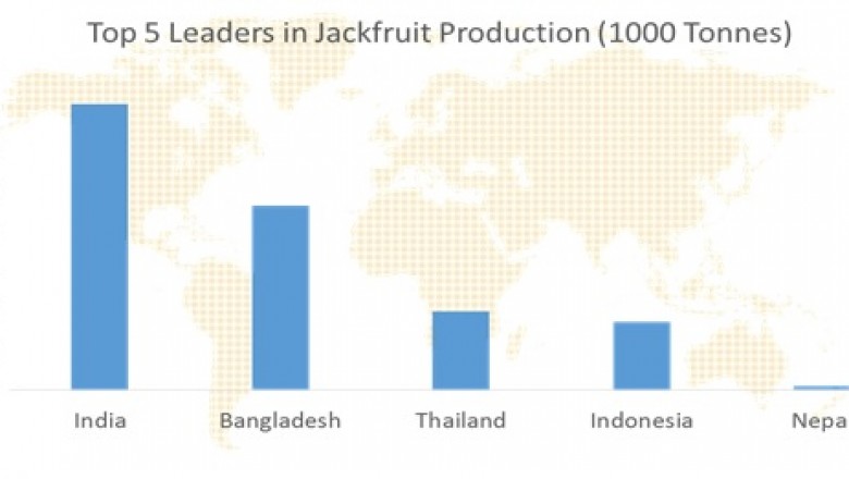 Global Market Study on Jackfruit- Latest Trends, Growth and Revenue Analysis to 2026