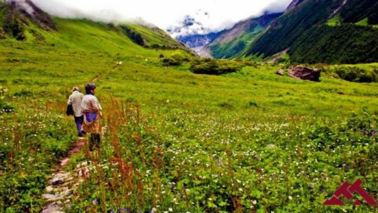 TTH Treks - Trek The Himalayas