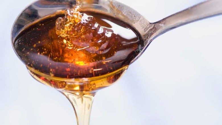 US Market Study on Yacon Syrup : Scope, Applications and Growth Framework