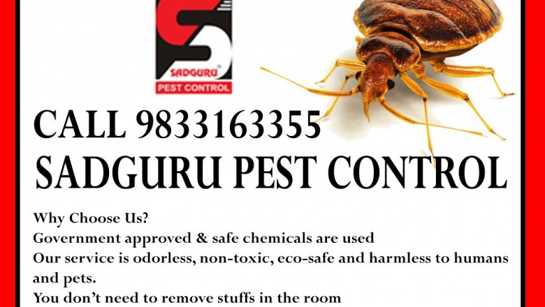 Pest Control Services in Andheri - Sadguru Pest Control