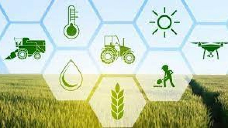 Purpureocillium Lilacinus Bionematicides Market Size, Share, Industry Growth Analysis by Types, Applications and Key Players.