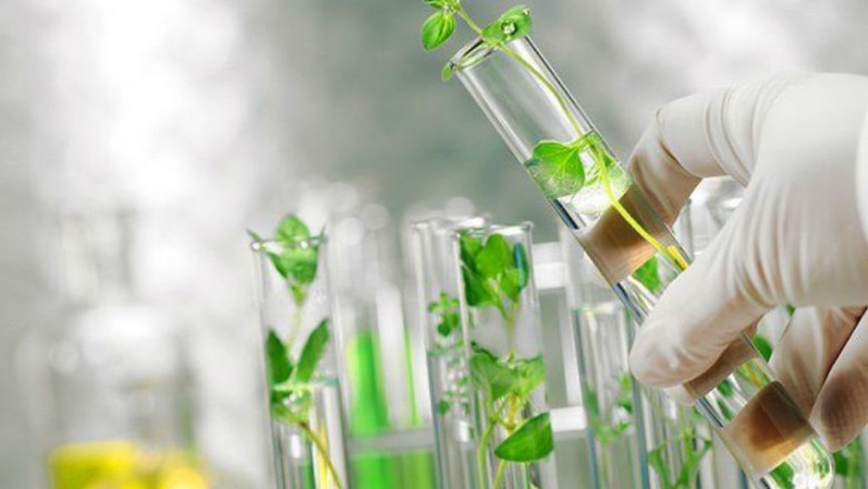 Bio-identical Hormones Market Size, Trends and Insights