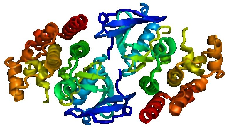 BRAF Kinase Inhibitors Have Shown Promise in Controlling the Growth of Certain Tumors in Recent Research.