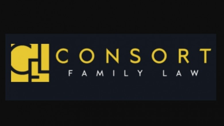 Details, Fiction and Family Lawyer