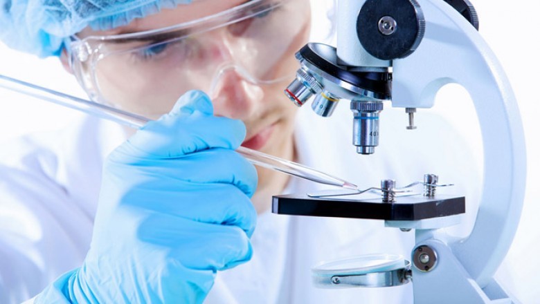 Major Players in Tissue Diagnostic Market Focus on Adopting Different Strategies to Enhance Their Market Share