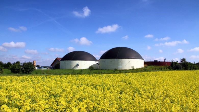 Biogas from Kitchen Waste