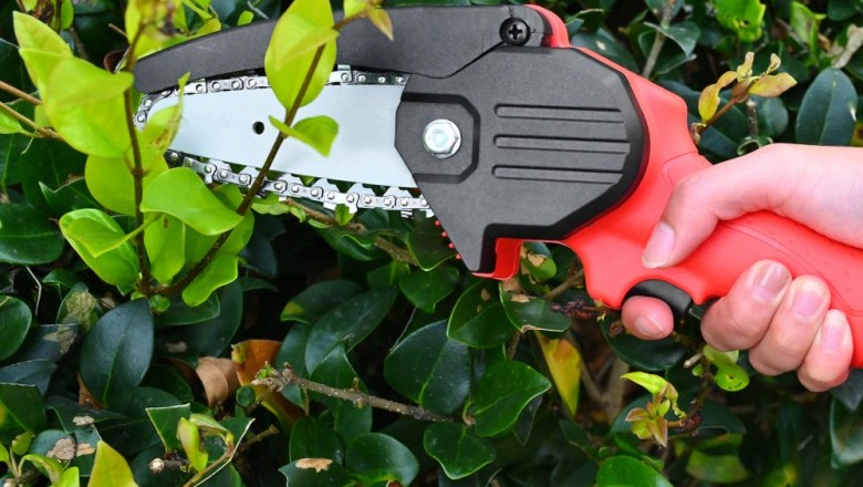 How to choose the right chainsaw for your yard