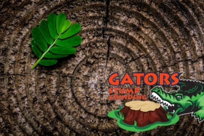 Gators Stump Grinding