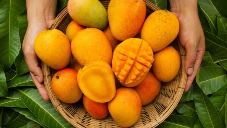 Local Market is a one-stop solution for you daily needs at Cayman Islands