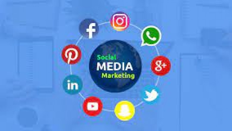 Best SEO Expert in India