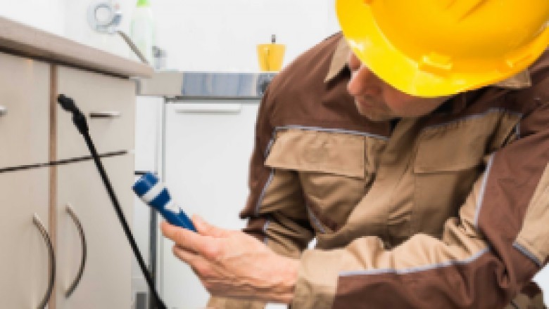 Termites Control Specialists in Fort Lauderdale | Bug Off Exterminators Florida