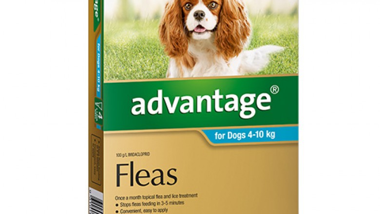 Buy Advantage For Medium Dogs Aqua Pack Online | Low Prices | DiscountPetCare