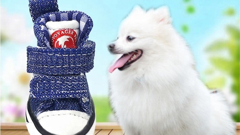 Dog Boots Paw Protector: Shoes, Socks For Dogs | Voyagerpet
