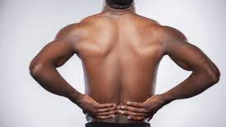 Harvard Trained Back Pain Specialist