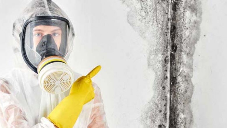 Mold inspection San Francisco