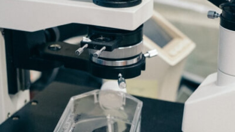 A Mold Test Can Create a Healthier Home