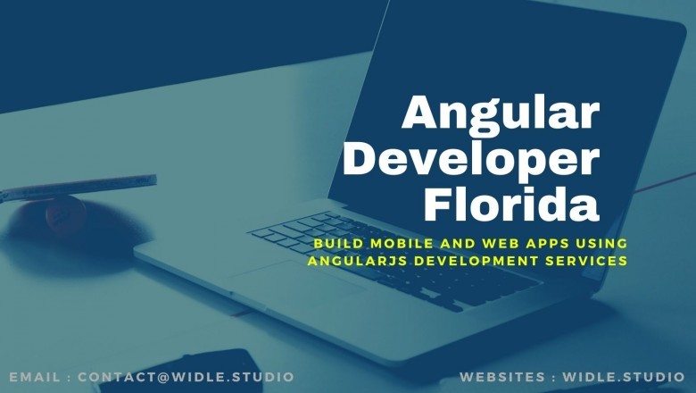 Angular Developer Florida By Widle Studio