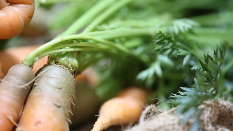 Beta-Carotene Market to Increase at a CAGR of 3.8% Over 2019-2027