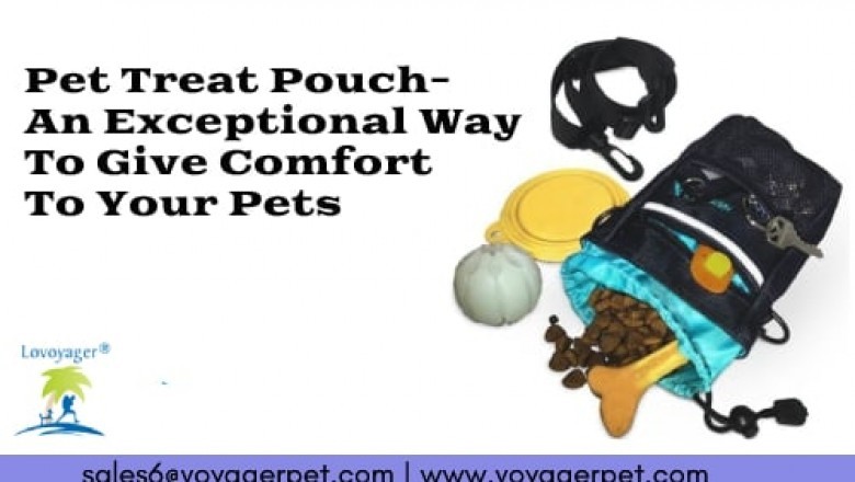 Pet Treat Pouch - An Exceptional Way To Give Comfort To Your Pets