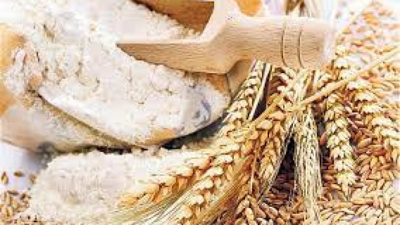 Stonground Wheat Market Key Trends in terms of volume and value |