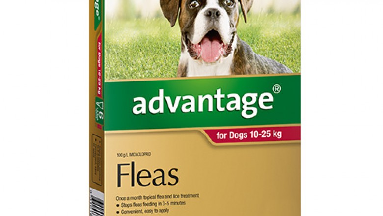 Buy Advantage For Large Dogs 10-25KG 6 Pack Red | DiscountPetCare