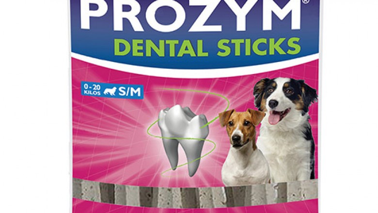 Buy Dental Care Products For Dogs Online | DiscountPetCare