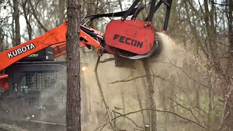 All You should Know About Tree Removal